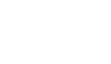 Portal Consular